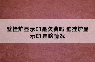 壁挂炉显示E1是欠费吗 壁挂炉显示E1是啥情况